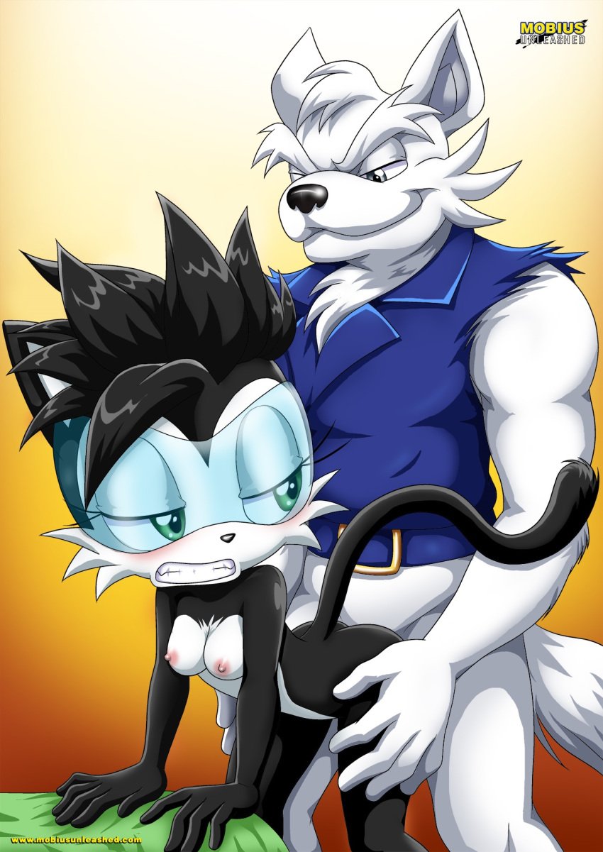 anal anal_sex anthro archie_comics ass bbmbbf blush breasts doggy_style drago_wolf female hershey_the_cat male male/female mobius_unleashed nude palcomix sega sex sonic_(series) sonic_the_hedgehog_(archie) teeth