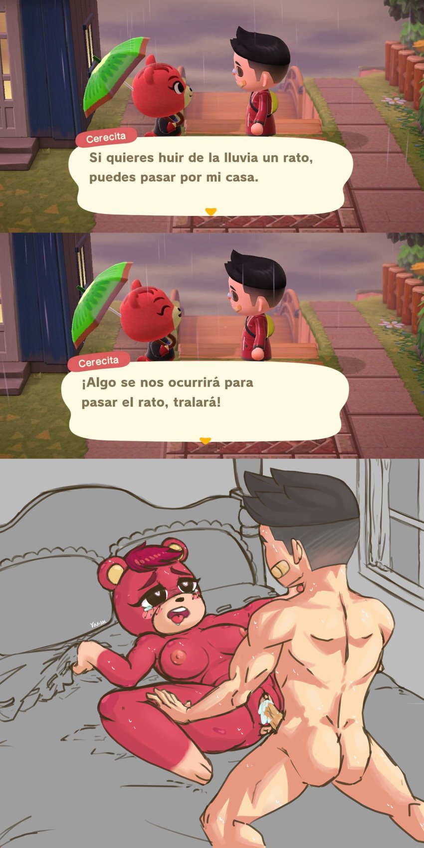 2021 animal_crossing anthro bear breasts cheri_(animal_crossing) english_translation female female_focus furry gammainks heart-shaped_pupils male male_human/female_anthro medium_breasts missionary_position nintendo nipples notes_translation penetration penis pussy red_fur spanish_text thick_thighs thighs ursid ursine villager_(animal_crossing)