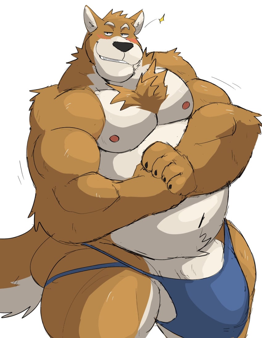 2021 anthro balls barely_visible_balls barely_visible_genitalia barely_visible_penis belly biceps big_bulge big_penis body_hair bulge canid canine canis chest_hair clothing dad_bod dadbod flexing genitals hi_res jockstrap looking_at_viewer male male_only mammal moobs musclegut muscular muscular_anthro muscular_male narrowed_eyes nipples overweight overweight_anthro overweight_male pecs penis simple_background smile smirk solo standing underwear vitashi white_background wolf