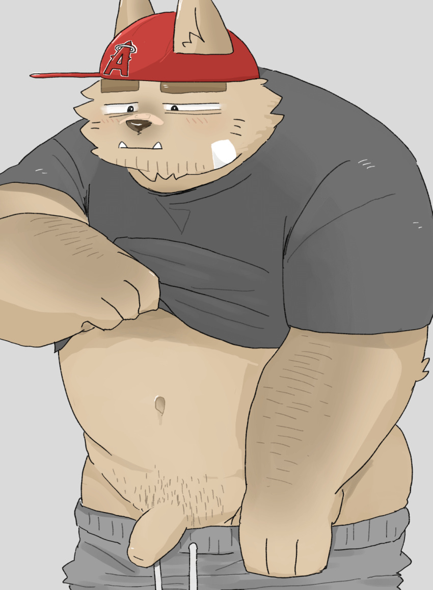 2021 anthro bottomwear brown_body brown_fur canid canine canis clothing domestic_dog flaccid fur genitals hat headgear headwear hi_res humanoid_genitalia humanoid_hands humanoid_penis kemono male mammal och5 overweight overweight_anthro overweight_male pants penis shirt simple_background solo topwear undressing