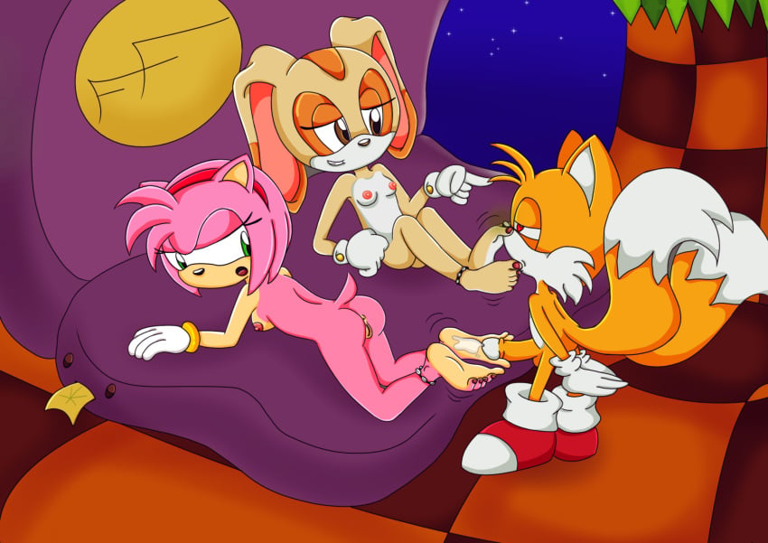 amy_rose cream_the_rabbit cum feet femdom foot_fetish foot_folk foot_worship footjob smelly_feet soles sonic_(series) tails