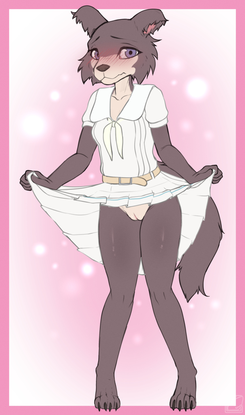 absurd_res anthro beastars blue_eyes blush bottomwear breasts canid canine canis claws clothed clothing clothing_lift embarrassed female fur furry furry_only genitals grey_body grey_fur hi_res juno_(beastars) looking_at_viewer mammal no_underwear omega56 pussy shy skirt skirt_lift small_breasts solo standing tail teenager wolf young