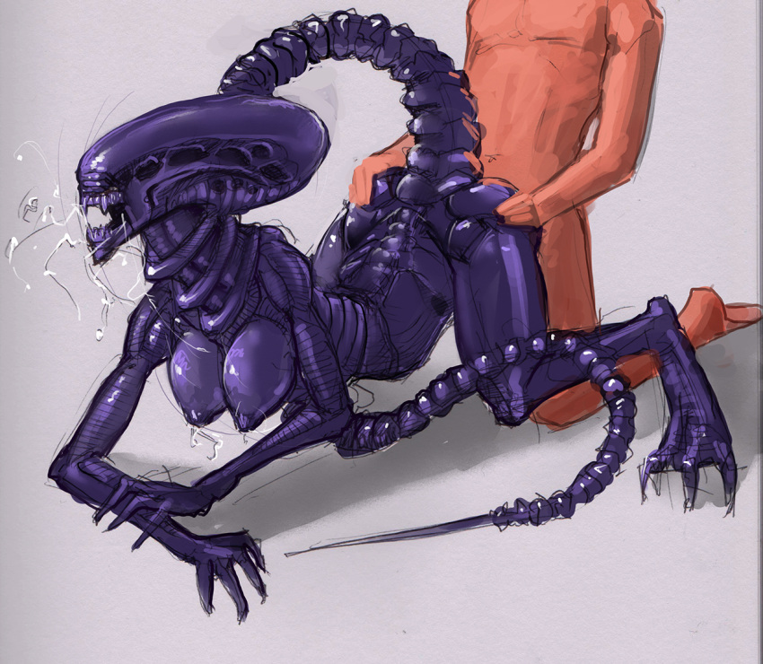 1boy 1boy1girl 1girls alien alien_(franchise) all_fours bent_over big_breasts bodily_fluids breasts claws doggy_style drooling duo erection eyeless fangs female female_penetrated female_xenomorph from_behind_position genitals hand_on_butt human human_on_humanoid human_penetrating human_penetrating_humanoid humanoid humanoid_penetrated interspecies light-skinned_male light_skin male male/female male_penetrating male_penetrating_female mammal meandraco monster nipples nude open_mouth penetration purple_body saliva sex simple_background teeth teratophilia xenomorph xenophilia