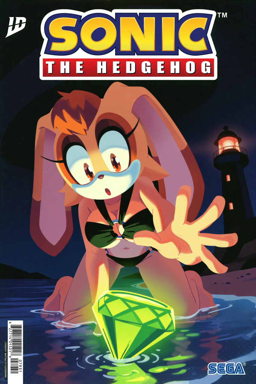 Sonic (Series) Rule 34 Image