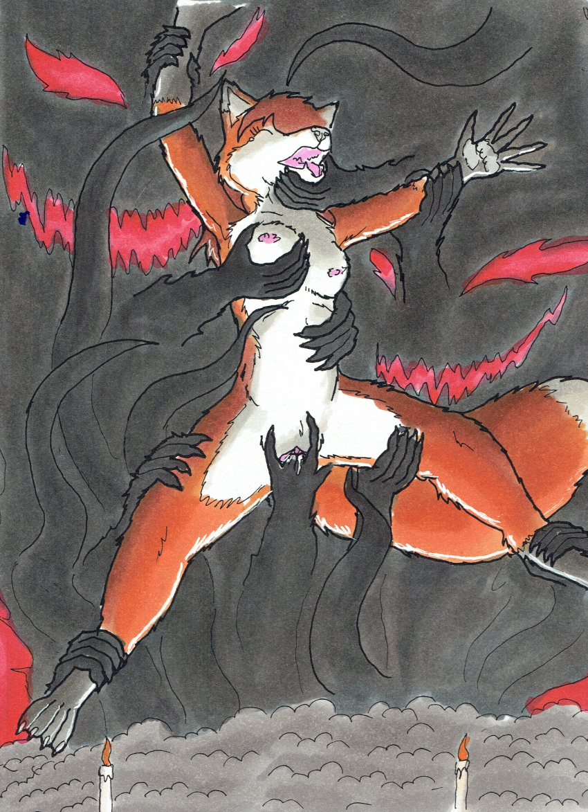 ambiguous_gender anthro aroused breasts canid canine clitoris duo female fingering fog fox fullcolor genitals hands hi_res male male/female mammal nipples nude nyghtmar3 pussy red_fox ritual smoke solo suspension tentacle traditional_media_(artwork) true_fox