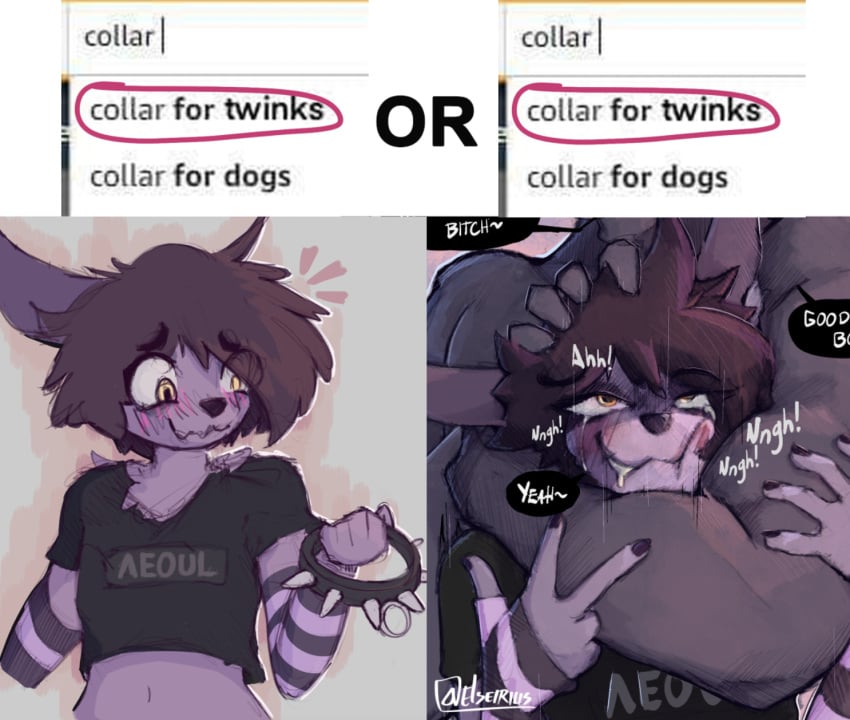 anthro canid canine clothed clothing collar duo elseirius femboy fox hair hi_res male male/male mammal marble_fox meme platinum_fox red_fox seirsinclair spiked_collar spikes true_fox