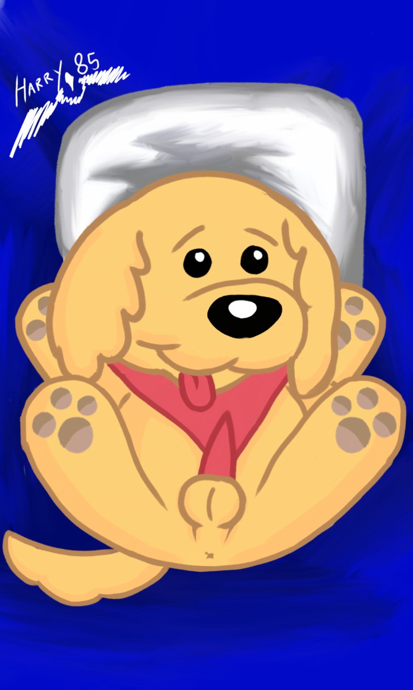 animal_genitalia animal_penis anthro anus bed blue_background canid canine canine_ears canine_penis canis chibi dankev_(youtuber) domestic_dog furniture genitals glistening glistening_eyes handkerchief harryiff_art hi_res hybrid kerchief legs_up logo lomito_dankev male mammal outstretched_arms penis pillow signature simple_background smile solo spread_legs spreading youtube youtuber