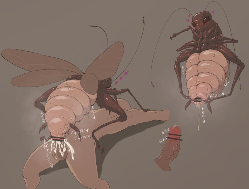 1boy1girl 1girls alternate_version_at_source animal_genitalia antennae_(anatomy) arthropod arthropod_abdomen arthropod_abdomen_cloaca arthropod_abdomen_genitalia arthropod_abdomen_penetration balls blattodea blush bodily_fluids censor_bar censored claws cloaca cloaca_juice cloaca_juice_string cockroach corruption cum cum_in_cloaca cum_in_pussy cum_inside cum_leaking disembodied_penis eyelashes faceless_human faceless_male female female_on_top feral feral_penetrated genital_fluids genitals heart hi_res human human_on_feral human_penetrating human_penetrating_feral insect_girl insect_wings insects interspecies lying male male/female male_on_feral mammal monster_girl multi_leg multi_limb on_back penetration penis precum pussy_juice sex spread_cloaca spread_wings spreading sweat toxic0266 vaginal_penetration vein veiny_penis wings zoophilia