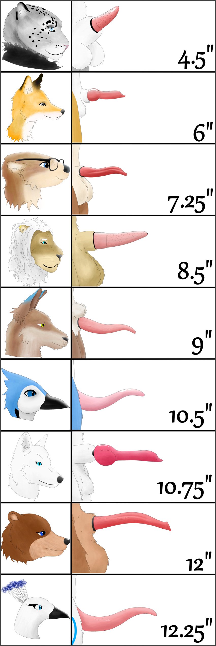 absurd_res anatomically_correct anatomically_correct_genitalia anatomically_correct_penis animal_genitalia animal_penis anthro arctic_wolf avian balls beak big_balls big_penis bird black_body black_fur blue_body blue_eyes blue_feathers blue_jay brown_bear brown_body brown_fur canid canine canine_penis canis chart cloacal_penis comparing comparing_penis corvid ear_piercing erection eyewear feathers felid feline feline_penis fitch_(house_of_immortals) flint_(house_of_immortals) fox fur galliform genitals glasses grey_body grey_eyes grey_fur grizzly_bear group headshot_portrait hi_res jay_(bird) kangaroo knot kujaku_(house_of_immortals) leopold_(house_of_immortals) lion lutrine macropod male male/male mammal mane marsupial marsupial_penis mustelid new_world_jay okko okko_(house_of_immortals) orange_body orange_fur oscine pantherine passerine peafowl penile_spines penis penis_lineup penis_size_chart phasianid piercing pola_(house_of_immortals) portrait prehensile_penis rohan_(house_of_immortals) sheath size_difference snow_leopard squire_(house_of_immortals) tan_body tan_fur ursid ursine ursine_penis vein vincent_(house_of_immortals) white_body white_fur wolf yellow_eyes