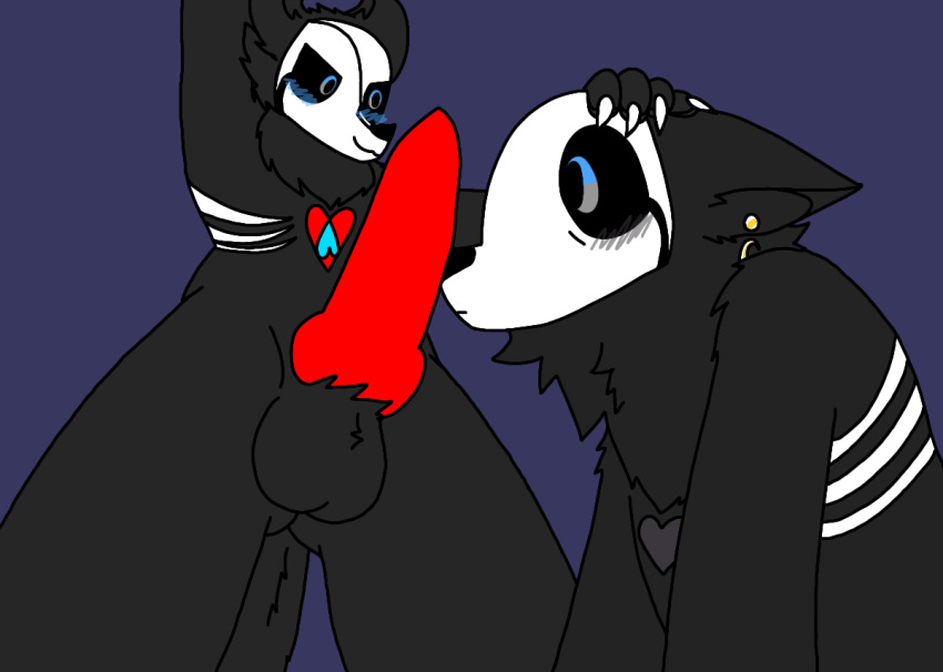 about_to_do_blowjob arm_behind_head bedroom big_penis black_fur blue_background blue_eyes blush bottom bottom_view cute deadtale earrings embarrassed evilriskaver furry furry_only hand_on_head huge_ass huge_balls imminent_blowjob imminent_fellatio imminent_oral looking_at_penis red_penis riskaver riskaver_(artist) yiff