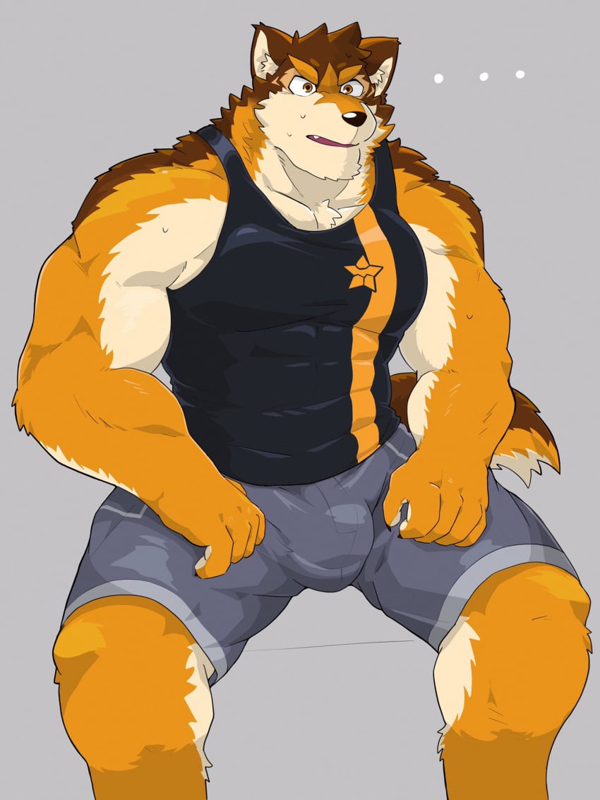 ... abs anthro barrel_(live-a-hero) biceps bulge canid canine canis clothed clothing erection erection_under_clothing hi_res live-a-hero male mammal morningbread16 muscular muscular_anthro muscular_male pecs shirt solo tank_top tenting topwear underwear wolf