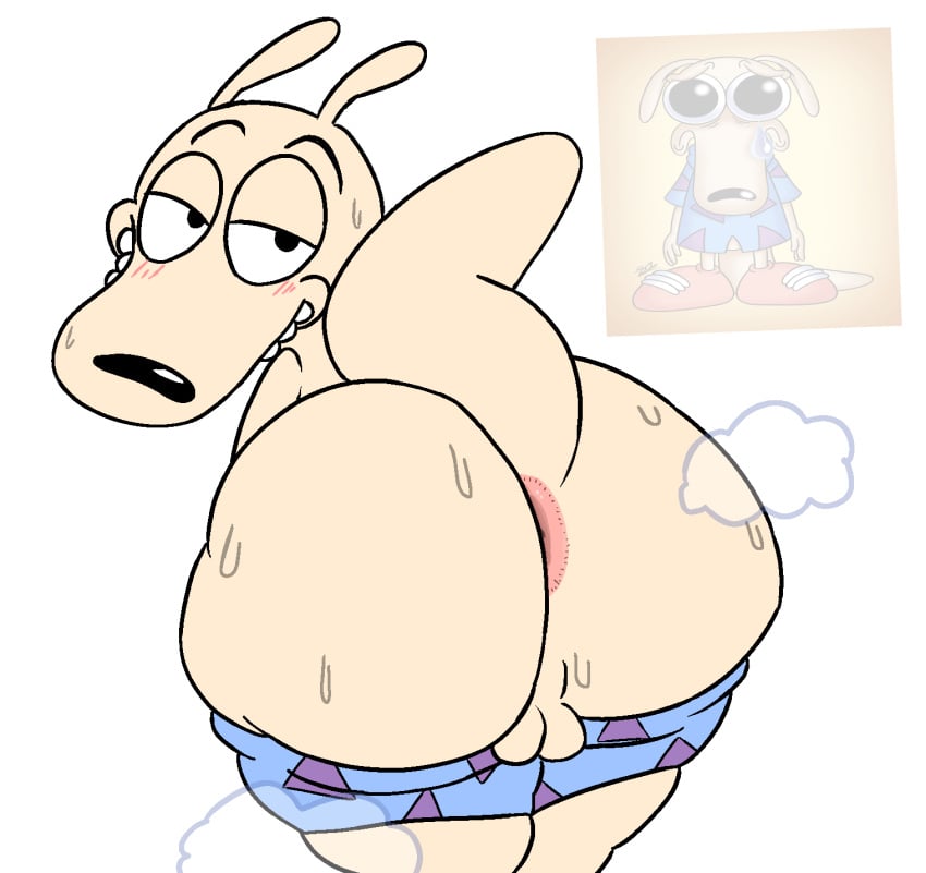 Rocko (Nickelodeon) Rule 34 Image
