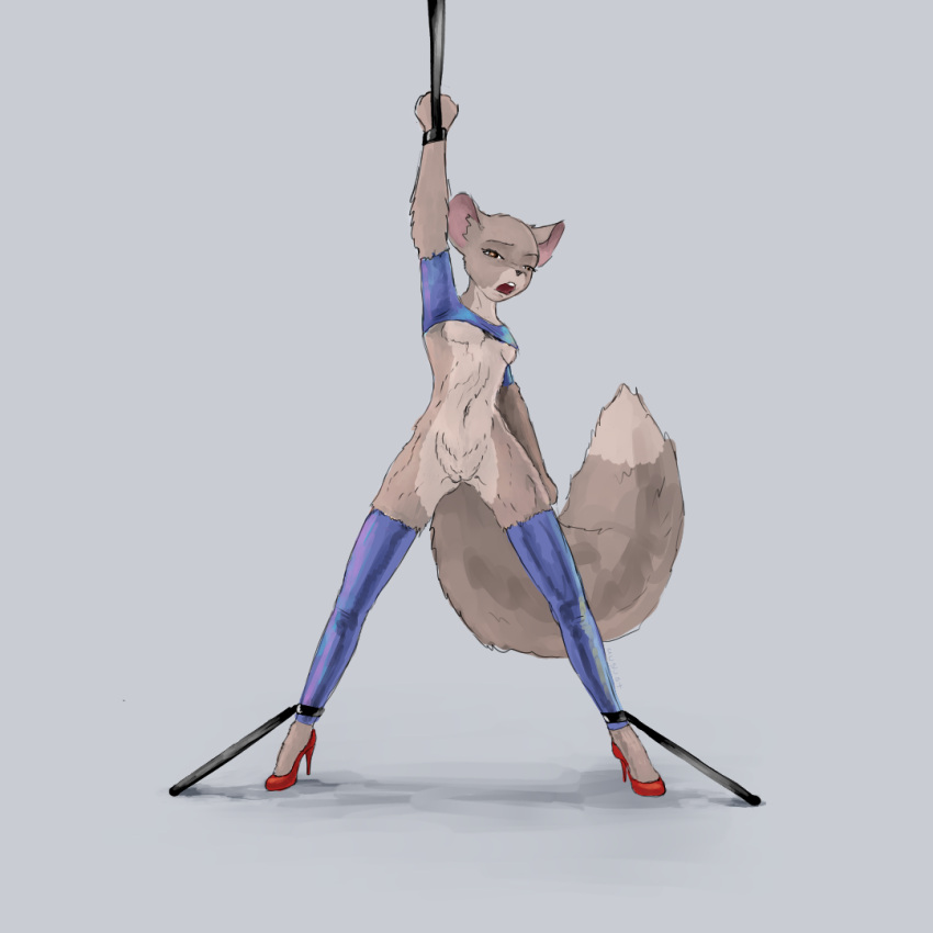 anthro august_(artist) bondage bondage bound brown_body brown_fur clothing female fur genitals high_heels legwear mammal pussy rodent solo stockings