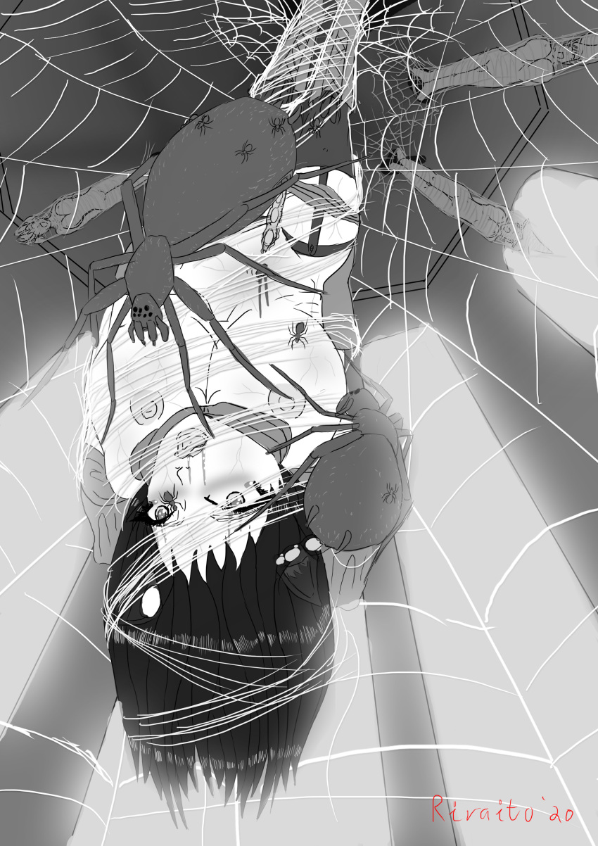 Arachnophilia Rule 34 Image