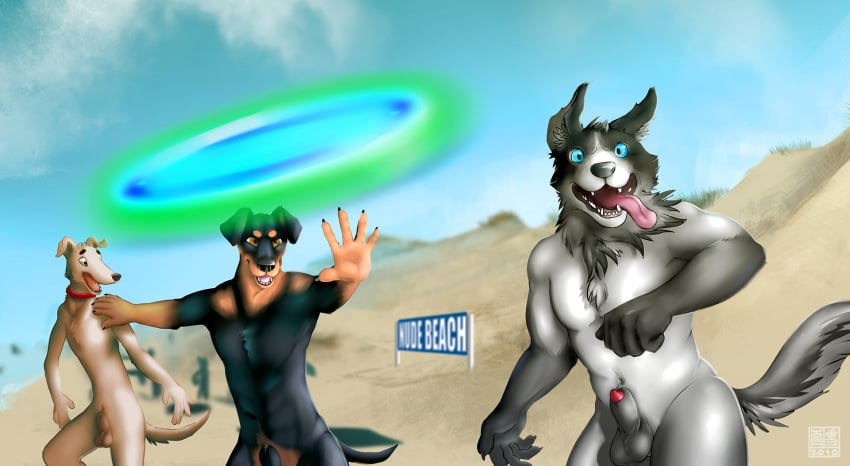 2016 5_fingers abs animal_genitalia anthro athletic athletic_anthro athletic_male balls beach black_body black_fur black_nose blue_eyes body_hair brown_body brown_fur canid canine canis collar day detailed_background dobermann domestic_dog dunes excited fangs fingers fluffy fluffy_tail frisbee fully_sheathed fur genitals green_eyes grey_body grey_fur group herding_dog hi_res hunting_dog inner_ear_fluff looking_at_another looking_at_viewer looking_pleasured male mammal muscular muscular_anthro muscular_male neck_tuft nude nude_beach open_mouth orange_eyes pastoral_dog pecs penis penis_tip pinscher raised_tail seaside sheath sighthound sky tan_body tan_fur teeth throwing_object tongue tongue_out tuft whippet yookie