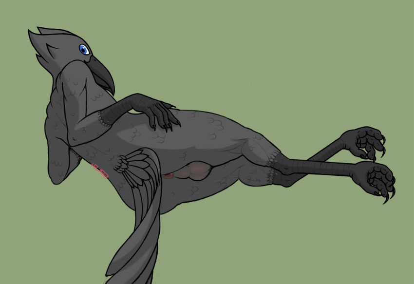 2021 4_toes 5_fingers anthro anus avian backsack balls biped bird blue_eyes crossed_legs feathers feet fingers genitals grey_body grey_feathers hi_res lying male on_side presenting simple_background smile solo tail_feathers talons toes tsukemono