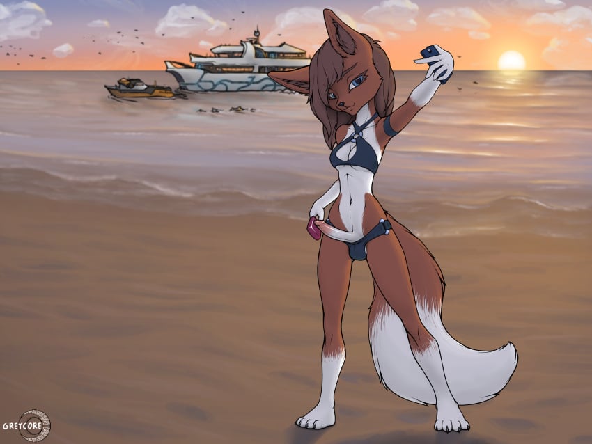 4:3 anthro balls beach bikini breasts bulge canid canine canis clothed clothing erection futanari genitals greycore gynomorph hi_res humanoid_genitalia humanoid_penis intersex mammal outside penis pose public sea seaside solo sunset swimwear water wolf