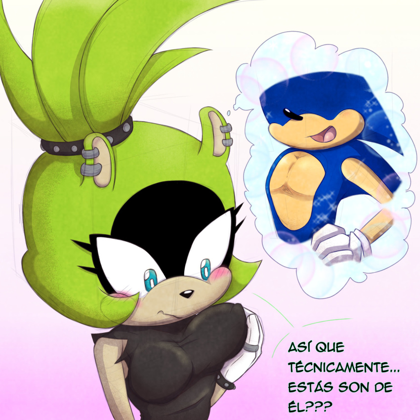 Sonic (Series) Rule 34 Image