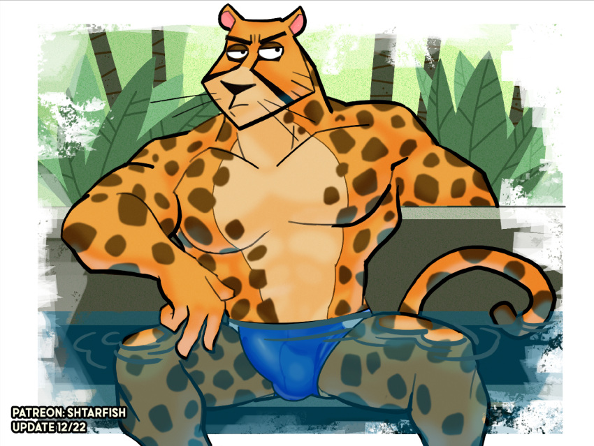 anthro black_eyebrows blue_clothing blue_speedo blue_swimwear bulge cartoon_network cheetah clothed clothing detailed_bulge eyebrows felid feline fingers genital_outline male mammal mr._cheetah muscular muscular_anthro muscular_male my_gym_partner's_a_monkey penis_outline shtarfish solo speedo speedo_only swimwear tail topless water