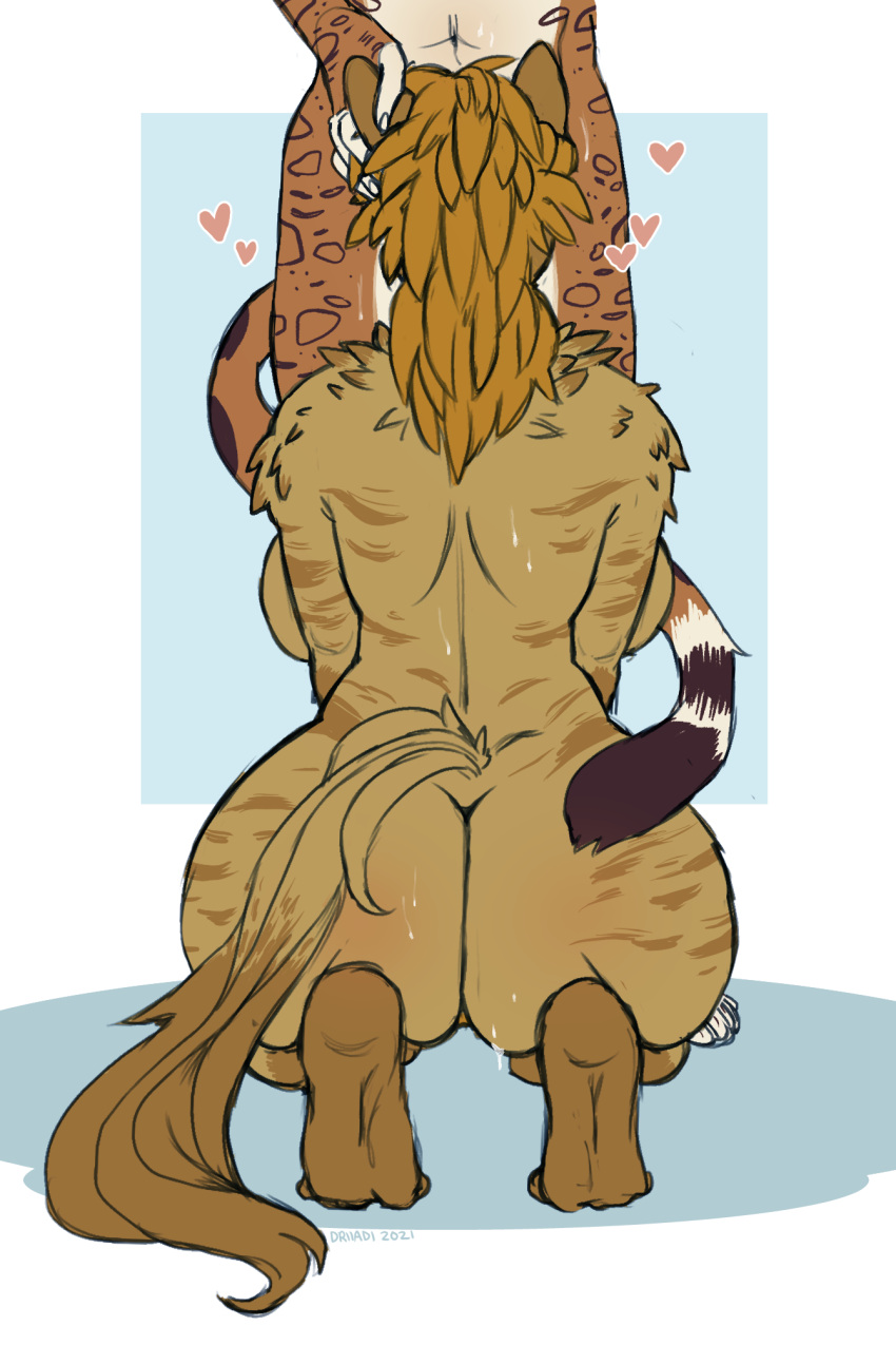 2021 anthro ass big_breasts big_butt blonde_hair bodily_fluids breasts brown_body brown_fur curvy_figure deep_throat driiadi duo felid feline fellatio female female_penetrated fluffy fluffy_tail fur fur_pattern gnoll hair hand_on_head head_grab heart hi_res huge_breasts hyaenid implied_fellatio implied_oral kneeling leo_pardalis leopardus male male/female male_penetrating male_penetrating_female mammal mane nude ocelot oral penetration penile rear_view ria_(gnoll) sex spots sweat tail_curl thick_thighs voluptuous wide_hips