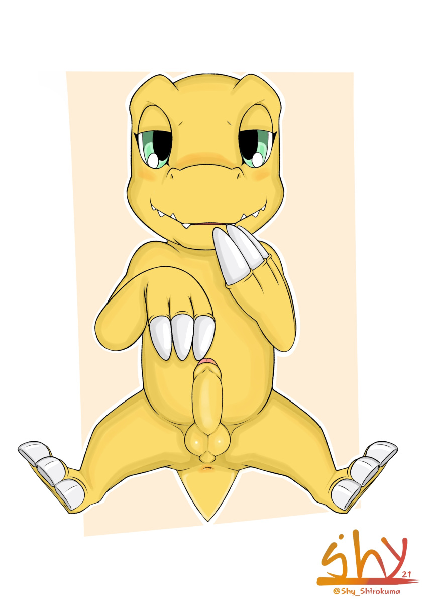 1boy agumon anthro anus backsack balls bandai_namco bedroom_eyes blush digimon digimon_(species) foreskin front_view genitals hi_res humanoid_genitalia humanoid_penis looking_at_viewer male male_only narrowed_eyes nude penis perineum presenting presenting_penis seductive shy_shirokuma solo spread_legs spreading uncut yellow_body yellow_penis