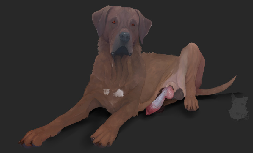 2021 absurd_res anatomically_correct anatomically_correct_genitalia anatomically_correct_penis animal_genitalia animal_penis balls bodily_fluids canid canine canine_penis canis domestic_dog feral genitals hi_res jenklinbullterrier_(artist) knot male mammal mastiff molosser penis realistic saliva saliva_string simple_background solo zoophilia