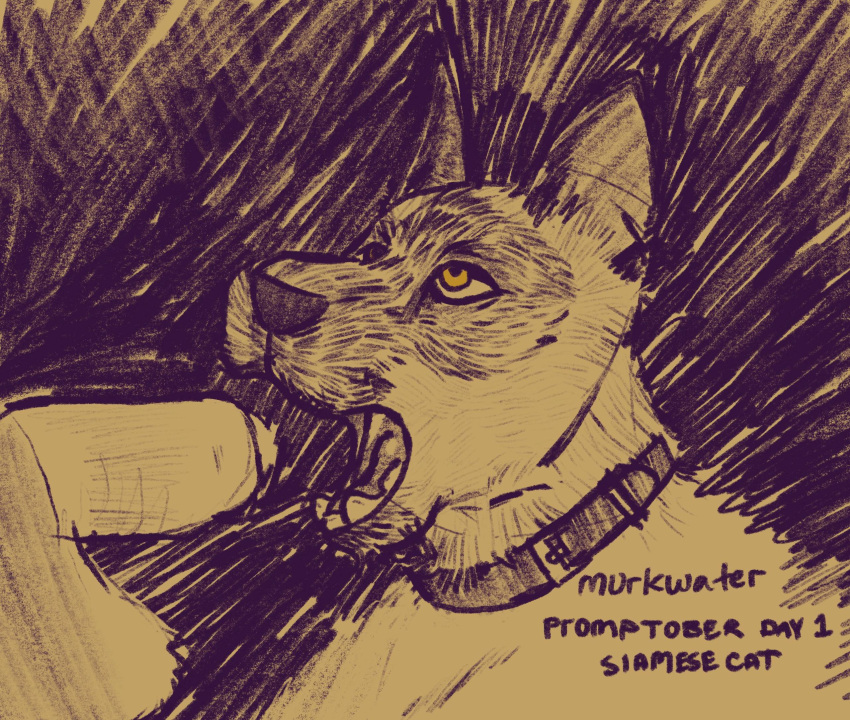 Ambiguous Gender Rule 34 Image
