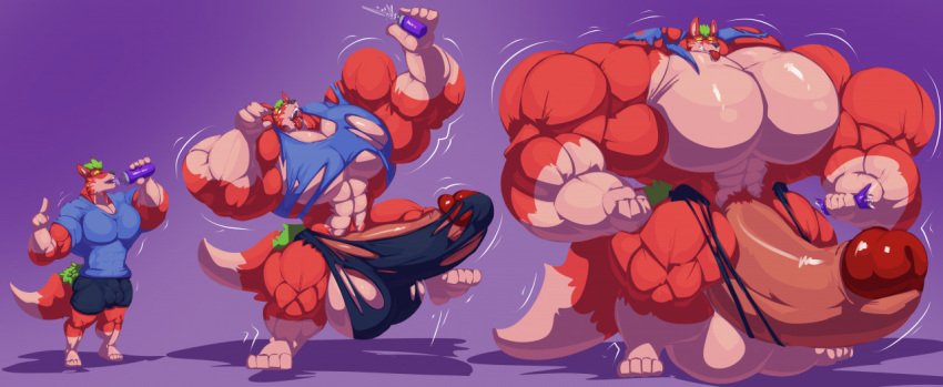 abs biceps bobert furry furry_only growing growth growth_sequence hyper hyper_balls hyper_genitalia hyper_muscles hyper_penis hyper_testicles male male_focus male_only muscle muscles muscular muscular_arms muscular_back muscular_legs muscular_male muscular_thighs pecs