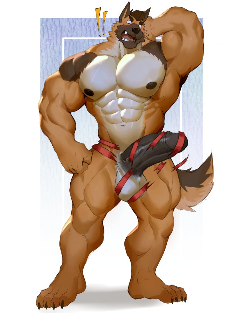 abs anthro balls biceps big_balls big_muscles big_pecs big_penis black_penis blush canid canine canis domestic_dog erection genitals german_shepherd herding_dog hi_res humanoid_genitalia humanoid_penis jason_steiner male male_only mammal mostly_nude muscular muscular_anthro muscular_male nipples o_reowoof pastoral_dog pecs penis ribbons solo standing thick_penis