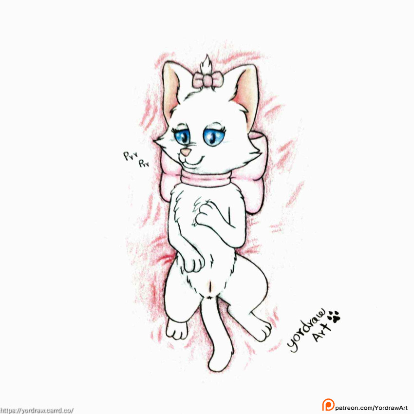 anus collar cute_expression disney domestic_cat felid feline felis female female_only feral fur furry_only genitals hi_res legs_up mammal marie_(aristocats) patreon patreon_logo patreon_username purring pussy smile solo solo_female spread_legs spreading text the_aristocats url yordraw