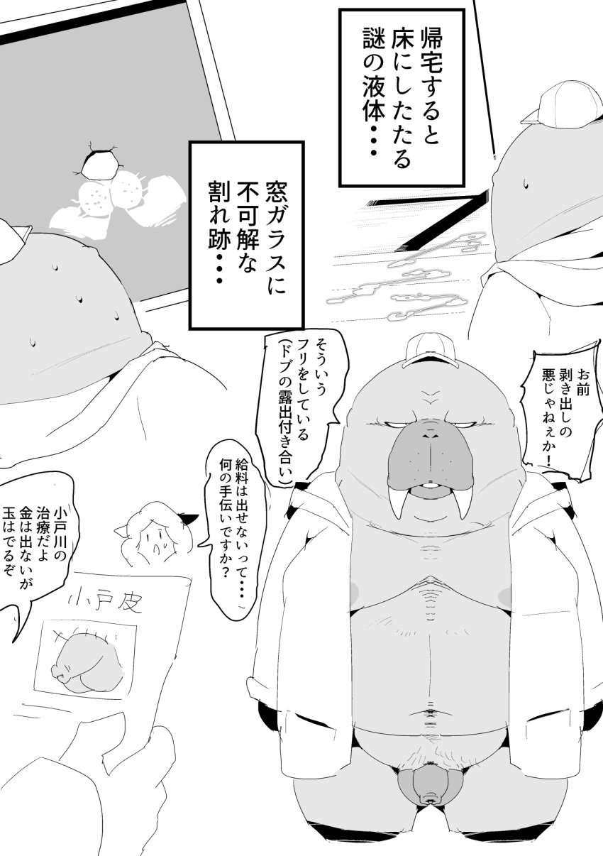 2021 anthro balls belly bodily_fluids clothing cum cum_on_ground flaccid flaccid_penis gay genital_fluids genitals hat headgear headwear hi_res hiroshi_odokawa_(odd_taxi) hoodie humanoid_genitalia humanoid_penis japanese_text kemono male male_only mammal marine monochrome moobs nipples odd_taxi overweight overweight_anthro overweight_male penis pinniped sigenoya small_penis solo sweat takotyutyu text topwear translation_request walrus yaoi