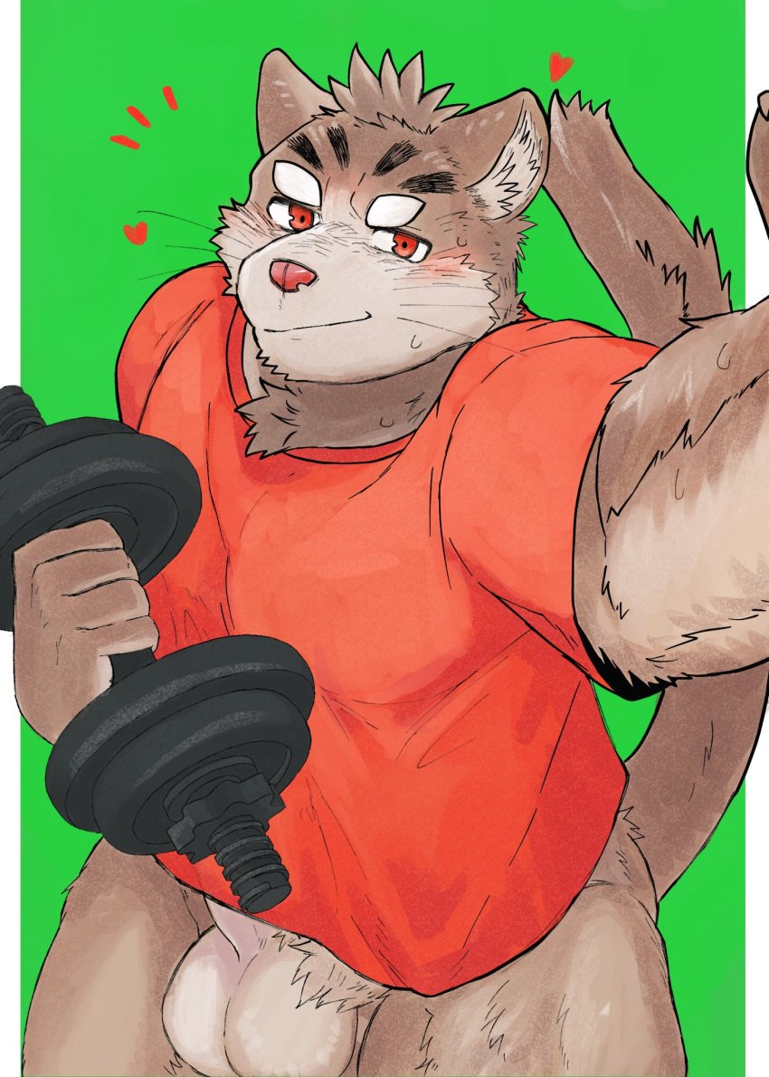 1boy anthro balls bottomless clothed clothing domestic_cat dumbbell erection felid feline felis genitals hi_res male male_only mammal muscular muscular_anthro muscular_male penis sitri solo tiger_029 tokyo_afterschool_summoners video_games weights