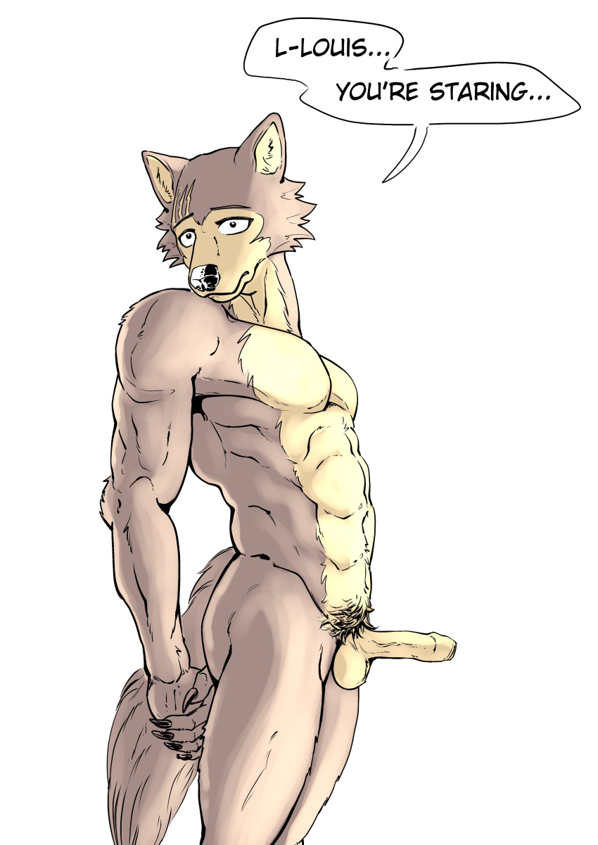 2021 abs absurd_res anthro balls beastars canid canine canis claws dialogue english_text erection ffog foreskin genitals hi_res humanoid_genitalia humanoid_penis legoshi_(beastars) male male_only mammal muscular muscular_anthro muscular_male navel nude penis pubes scar simple_background solo standing text uncut white_background wolf