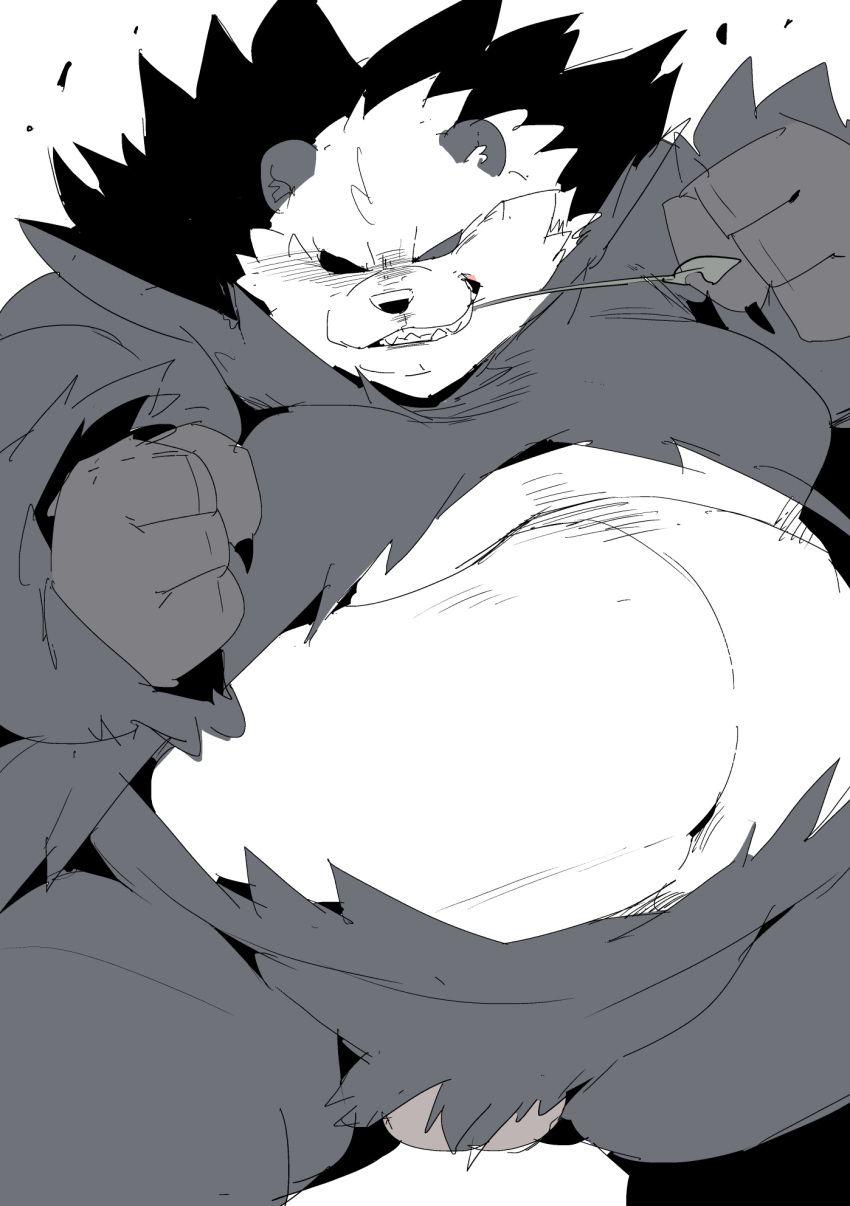 2021 anthro balls belly black_body black_fur black_nose fur genitals hi_res kemono leaf male male_only nintendo overweight overweight_anthro overweight_male pangoro pokémon_(species) pokemon sigenoya simple_background solo takotyutyu video_games white_background white_body white_fur