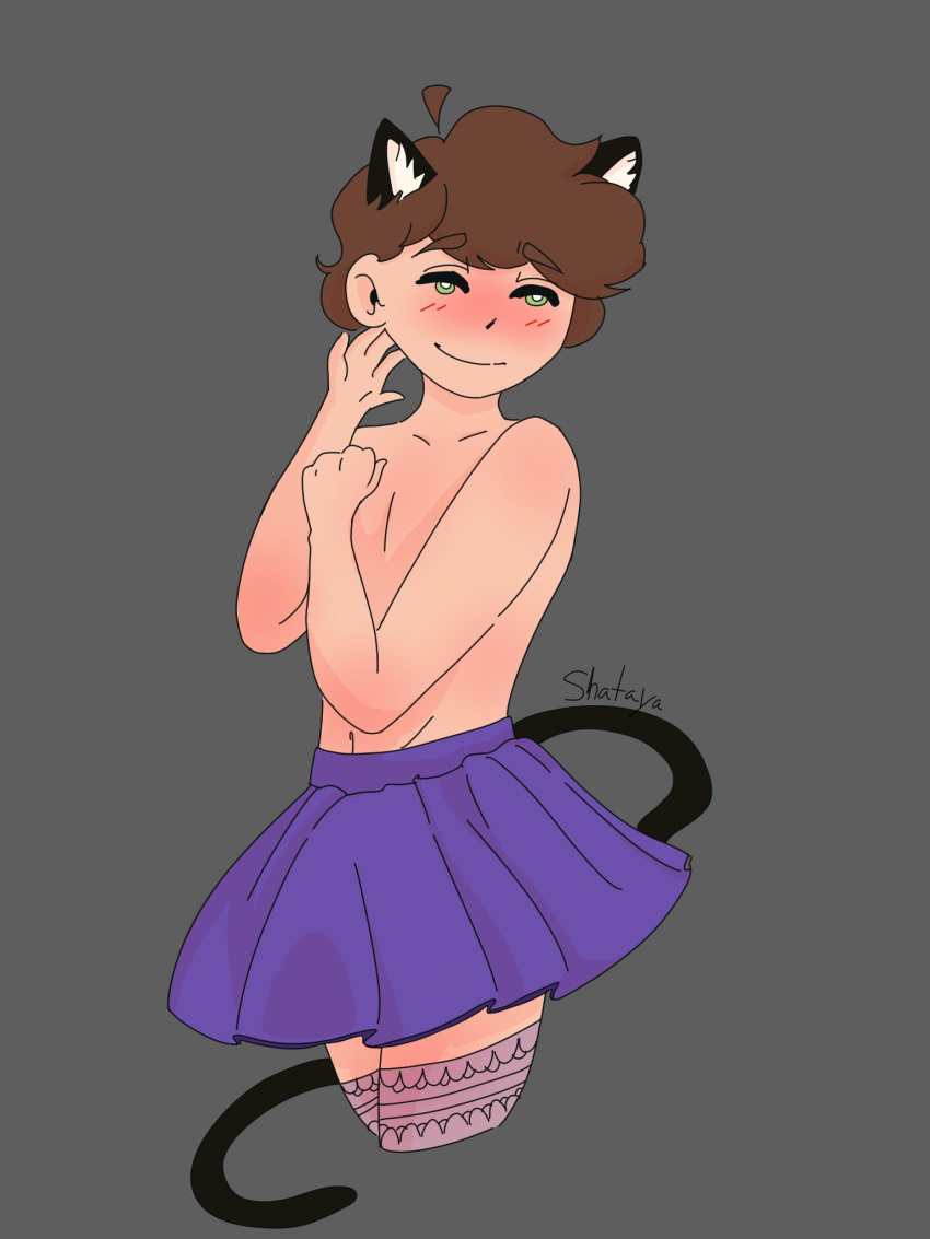 cat_ears cat_tail femboy karljacobs minecraft_youtubers skirt