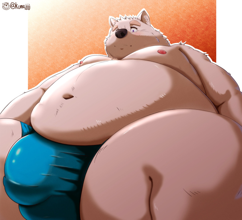 2021 absurd_res anthro belly bulge canid canine canis clothing domestic_dog genital_outline hi_res kemono kumajjjj male mammal moobs navel nipples obese obese_anthro obese_male overweight overweight_anthro overweight_male penis_outline solo underwear