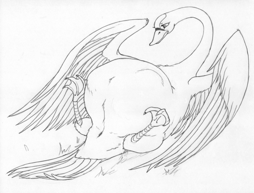 2009 3_toes anatid animal_genitalia anseriform anserinae avian beak belly big_belly bird bird_feet black_and_white cloaca eyelashes feathered_wings feathers feet female feral front_view frown genitals grass legs_up leovictor lying membrane_(anatomy) monochrome on_back plant pregnant princess_odette scutes simple_background sketch solo spread_legs spreading story story_in_description swan tail_feathers the_swan_princess toes traditional_media_(artwork) webbed_feet what white_background wings