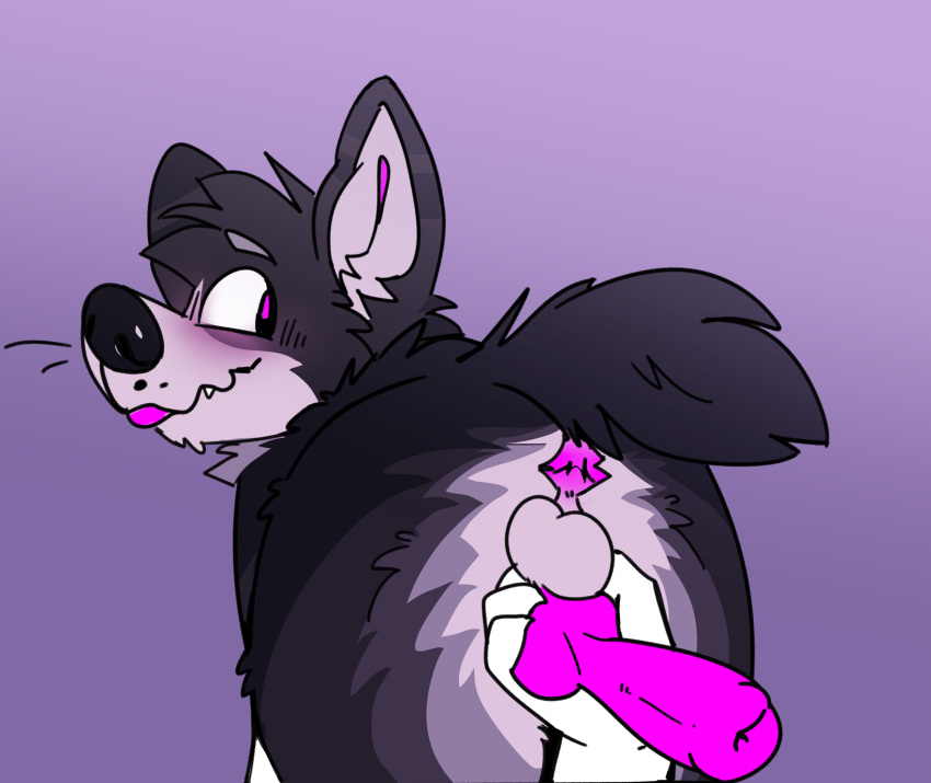 Animal Genitalia Rule 34 Image