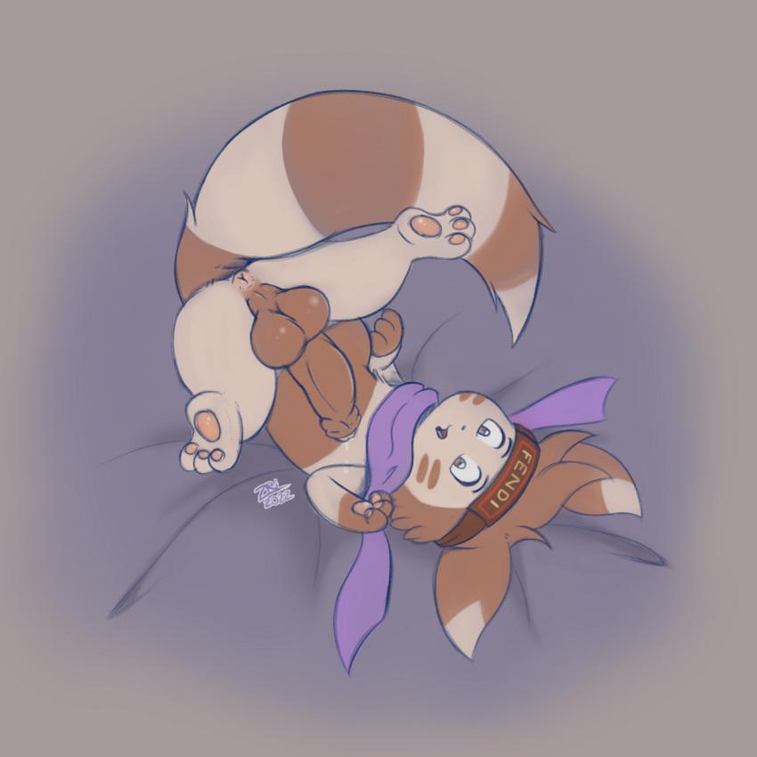 Furret (Nintendo) Rule 34 Image