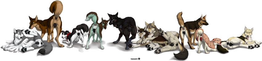 10girls 6+girls absurd_res anatomically_correct anatomically_correct_genitalia anatomically_correct_pussy animal_genitalia animal_pussy anus ass bandana black_body black_fur blep border_collie brown_body brown_fur canid canine canine_pussy canis collie digitigrade dizfoley domestic_dog ear_piercing facial_piercing female feral feral_on_feral flagged_tail flagging fluffygraywolf fur galleta_(dirtycookie) genitals german_shepherd green_body green_fur grey_body grey_fur group herding_dog hi_res hiona hug hugging_from_behind husky independence kerchief koira long_image looking_at_viewer mammal multiple_girls nipples nordic_sled_dog north_shepherd nose_piercing nose_ring nude open_mouth paprika_(imperial-exe) pastoral_dog pawpads paws piercing presenting pussy sheepdog sheppermint simple_background size_difference spitz_(oc) take_your_pick teats tongue tongue_out truegrave9 wide_image wings wolf yara