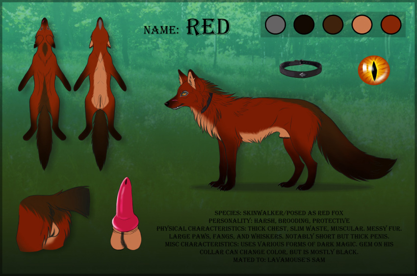 animal_genitalia animal_penis balls canid canine canine_genitalia canine_penis collar feral fox fur genitals hi_res knot male mammal model_sheet orange_eyes penis poliarnaya red_(ninafoxxo) red_body red_fox red_fur scar sheath solo true_fox