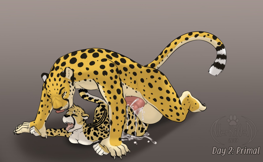 2019 alterkitten anthro anthro_on_anthro balls big_balls big_penis black_spots bodily_fluids cheetah claws closed_eyes cum cum_inside cum_on_ground duo english_text felid feline female from_behind_position fur genital_fluids genitals grey_background huge_balls huge_cock jasiri jockey_position male male/female mammal open_mouth orgasm penis pink_penis sex signature simple_background size_difference spots tan_balls text tongue tongue_out whiskers yellow_body yellow_eyes yellow_fur