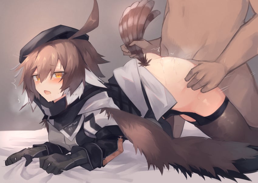 1boy 1girls ahoge arknights ass ass_grab beret black_gloves black_headwear black_legwear black_neckwear blush brown_hair clothed_female_nude_male dark-skinned_male dark_skin doggy_style feather_hair feathered_tail female garter_straps gloves grey_shirt hair_between_eyes half-closed_eyes hat heavy_breathing interracial light-skinned_female light_skin looking_at_viewer looking_pleasured multicolored_hair nude on_bed open_mouth pleasure_face plume_(arknights) sasa_onigiri sex sex_from_behind sheet_grab shirt short_hair simple_background solo_focus straight sweat tail tail_feathers tail_grab tears tears_of_pleasure thigh_grab thighhighs tremble_spikes two-tone_hair two_tone_hair white_hair wings yellow_eyes