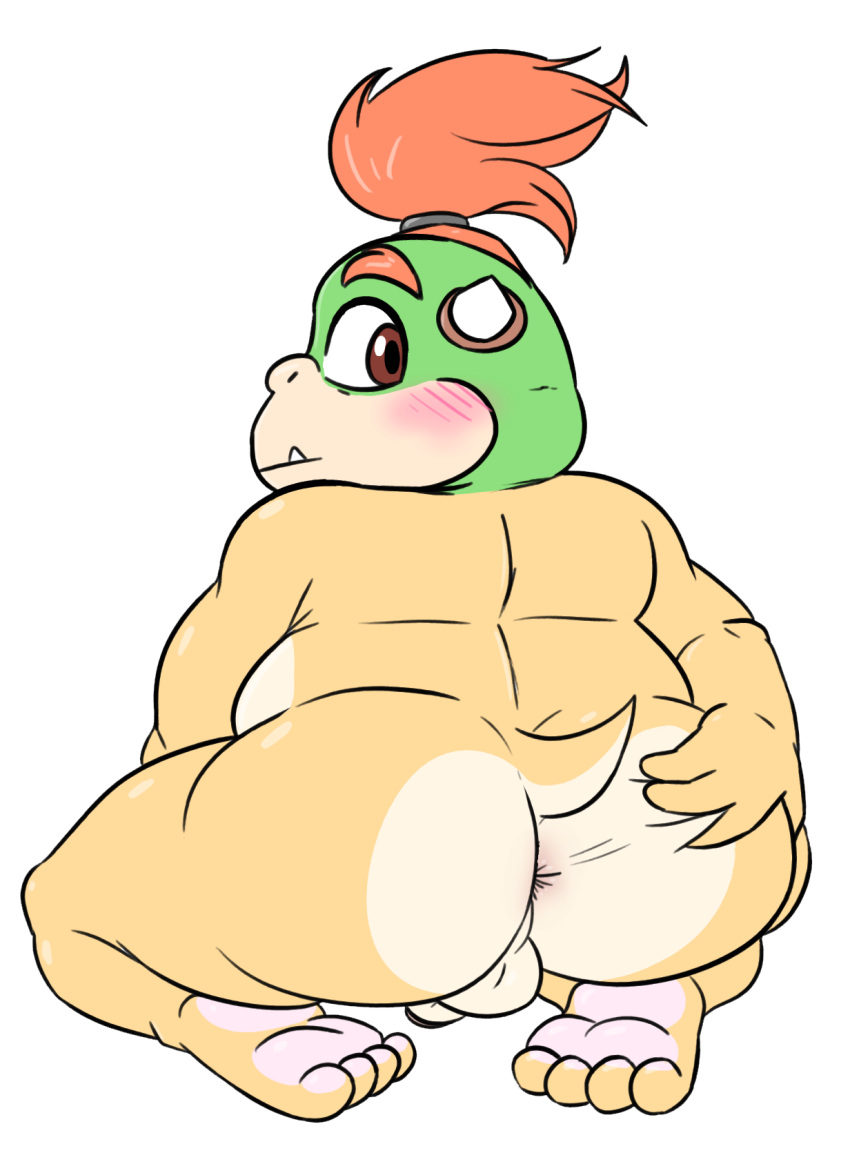 Bowser Jr. (Mario (Series)) Rule 34 Image