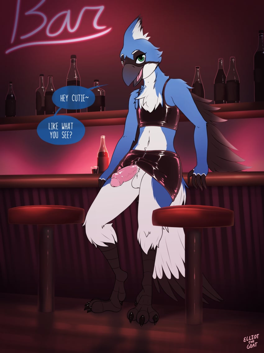 alcohol_bottles anthro avian avian_feet balls bar bar_stool bird blue_body blue_feathers blue_jay bottomwear clothing corvid crop_top english_text espressothegoat exhibitionism feather_hands feathers furniture genitals hi_res jay_(bird) latex latex_bottomwear latex_clothing latex_crop_top latex_shirt latex_skirt latex_topwear looking_at_viewer male male_only midriff new_world_jay oscine passerine penis shelf shirt skirt solo speech_bubble stool tail tail_feathers text topwear white_body white_feathers winged_arms wings zipper_skirt