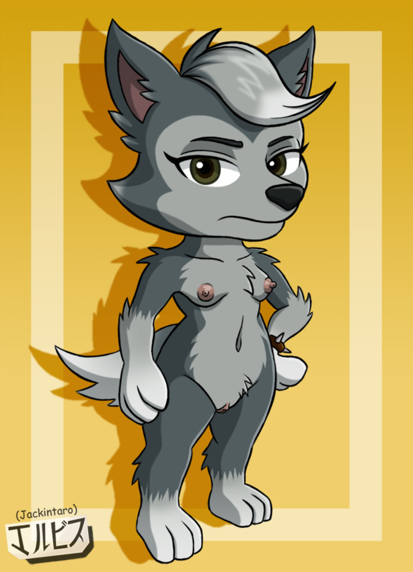 2021 anthro breasts dog dog_girl fanart female female_only furry gasket_(paw_patrol) grey_fur jackintaro nickelodeon nipples paw_patrol pussy