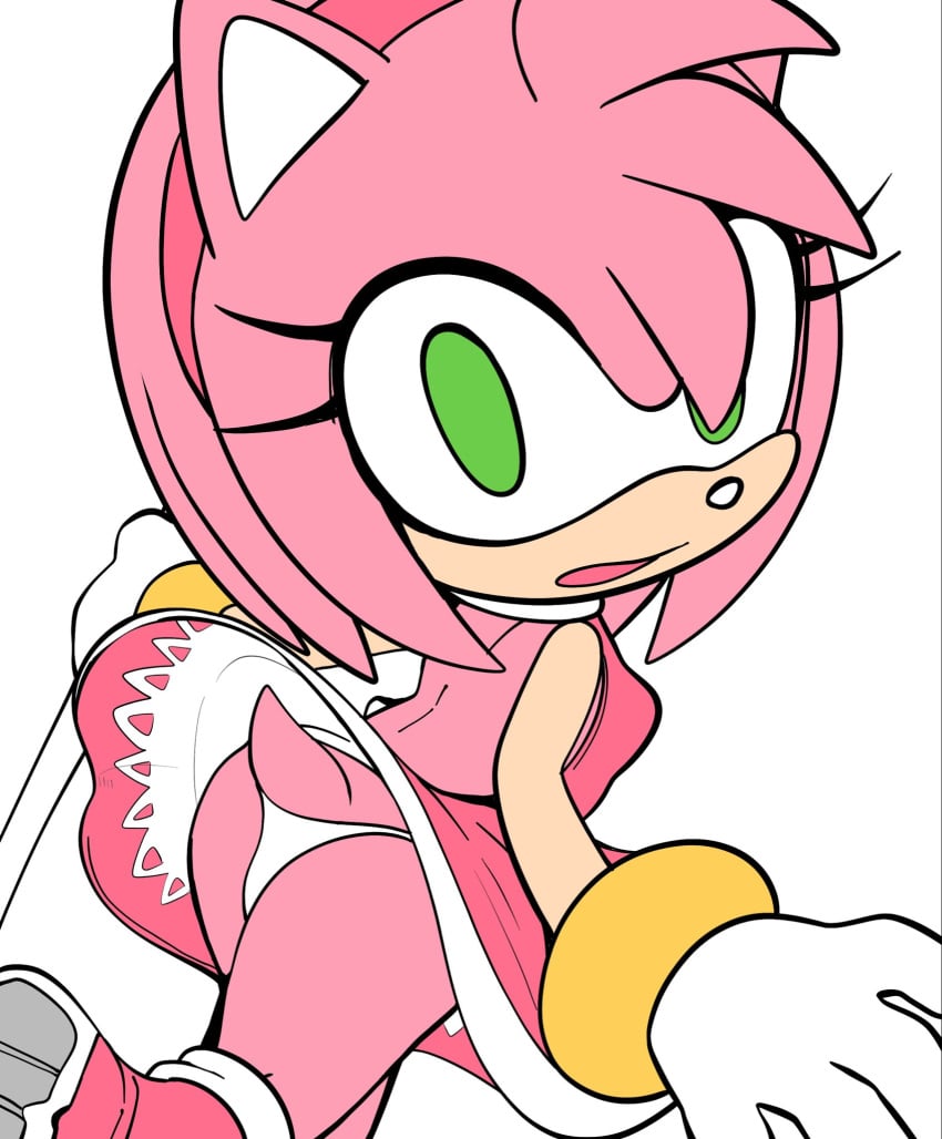 Amy Rose (Sega) Rule 34 Image