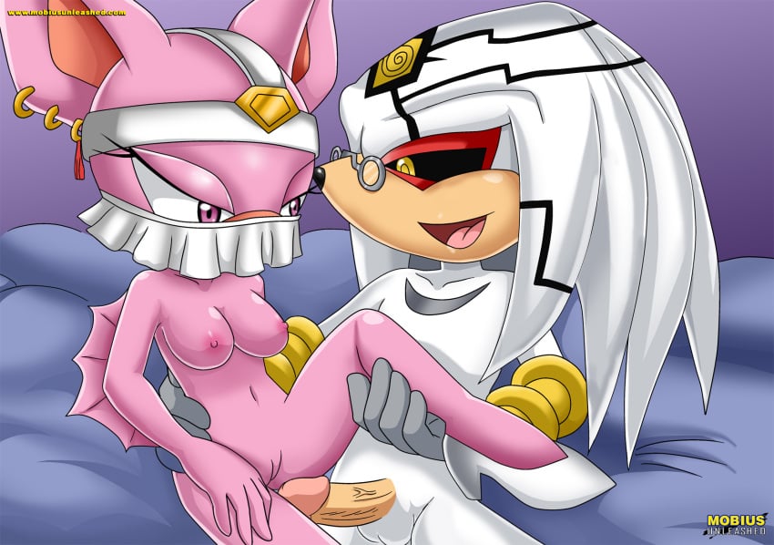 bbmbbf breasts bride_of_rich_nights doctor_finitevus dr._finitevus eyes_half_open female/male gold_eyes hand_on_hip holding_leg mobius_unleashed penis_out pink_eyes pussy sonic_(series) sonic_the_hedgehog_(series)