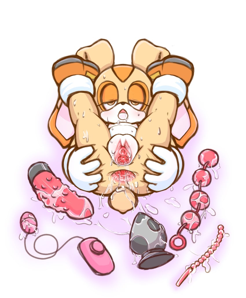 Cream The Rabbit (Sega) Rule 34 Image