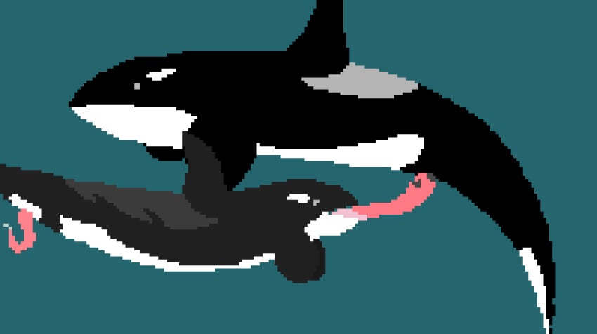 2d animal_genitalia animated blush bodily_fluids cetacean cum cum_in_mouth cum_inside delphinoid digital_media_(artwork) duo fellatio feral feral_on_feral genital_fluids genitals gif heart licking loop male male/male mammal marine narrowed_eyes oceanic_dolphin oral orca penile penis pixel_art precum sex short_playtime squint throbbing_penis tongue tongue_out toothed_whale underwater water whalezor